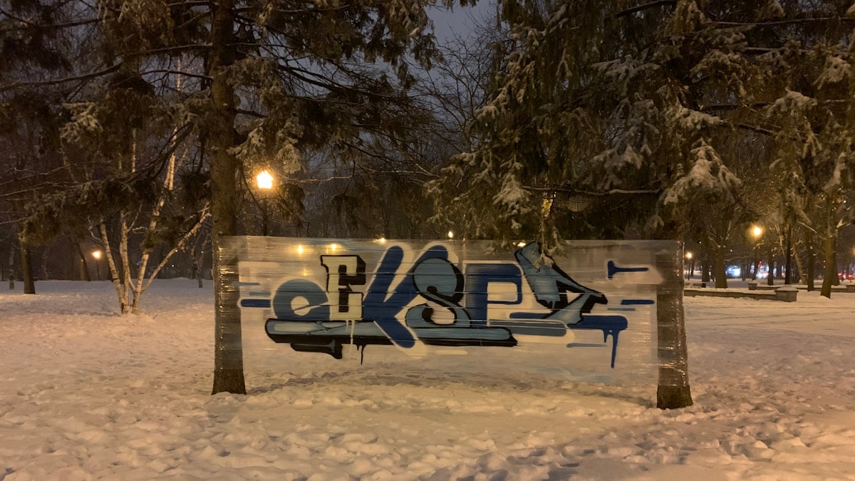 snow covered bench near trees during daytime